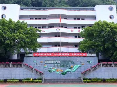 萬州區枇杷坪小學